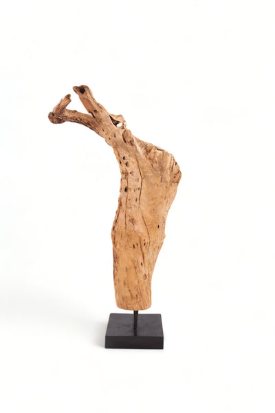 61" Inch Tall Organic Teak Natural Sculpture