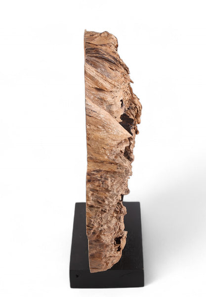 Table Top Organic Teak Sculpture- 31" Inch Tall