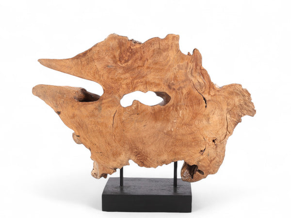 Table Top Organic Teak Sculpture- 31" Inch Tall