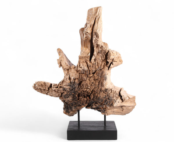 Table Top Organic Teak Sculpture- 42" Inch Tall
