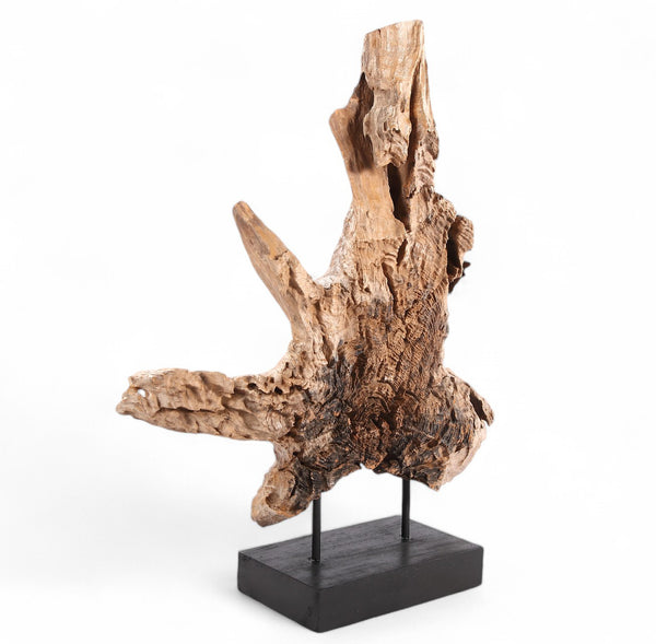 Table Top Organic Teak Sculpture- 42" Inch Tall