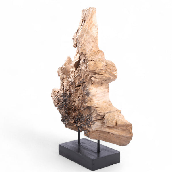 Table Top Organic Teak Sculpture- 42" Inch Tall