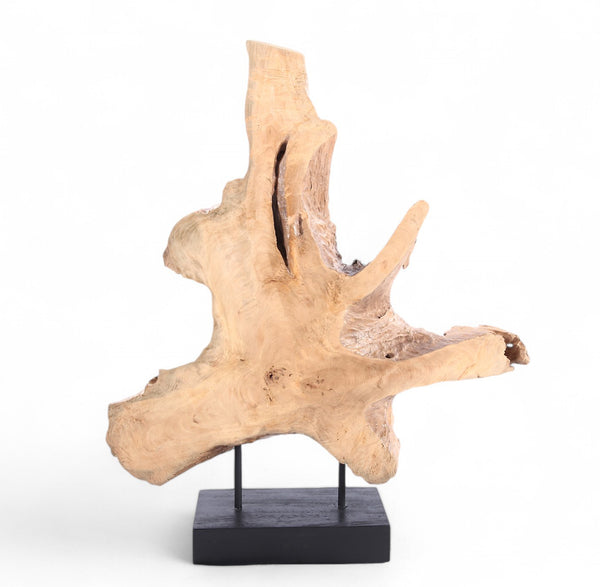 Table Top Organic Teak Sculpture- 42" Inch Tall