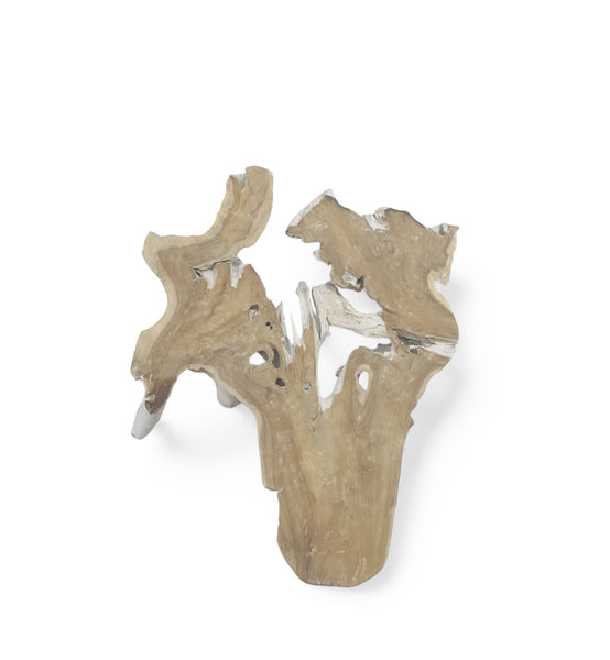 Organic Teak Root Sculpture Wall Art 12