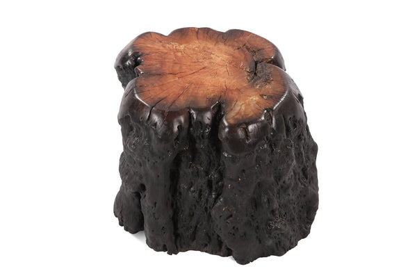 Black Lychee Living Edge Accent or Side Table or Stool 1 - Dyag East