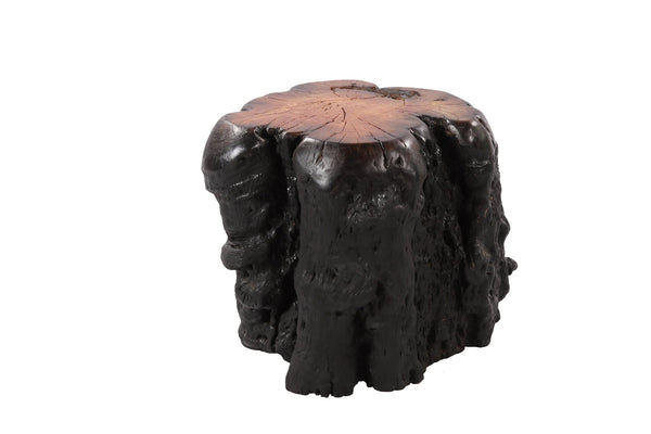 Black Lychee Living Edge Accent or Side Table or Stool 1 - Dyag East