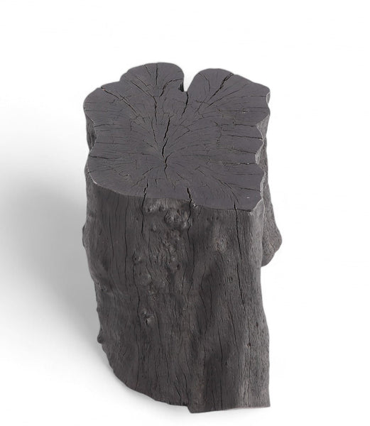 Black Lychee Living Edge Accent or Side Table or Stool - Dyag East