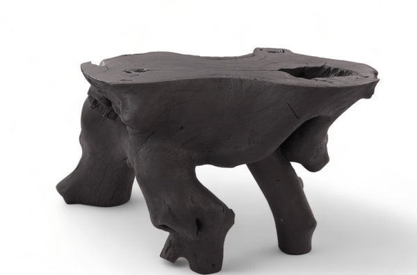 Black Natural Sculptured Console Table - 1 - Dyag East