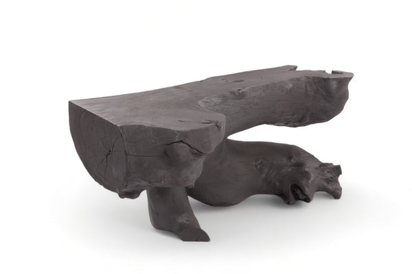 Black Natural Sculptured Console Table - 2 - Dyag East