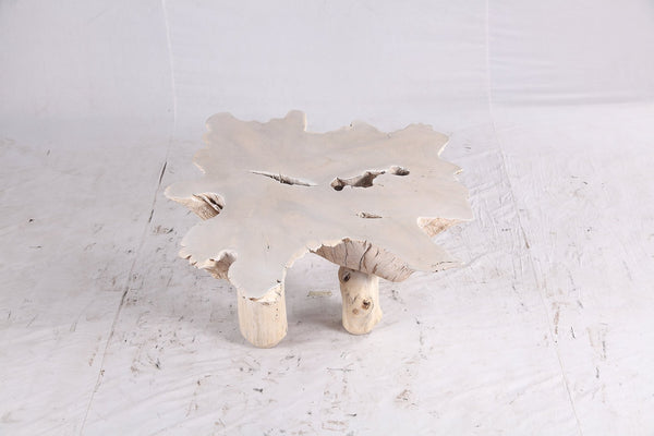Bleached Free Form Living Edge Coffee Table 34 - Dyag East