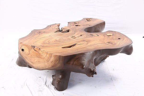 Brown Free Form Organic Coffee Table - Dyag East