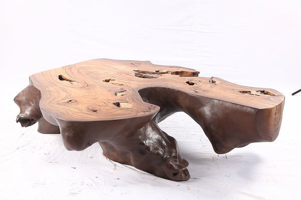 Brown Free Form Organic Coffee Table - Dyag East
