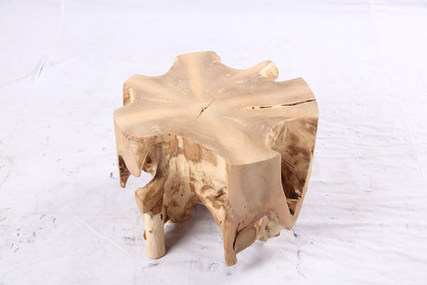 Free Form 23” Organic Teak Root Side Table 7.1 - Dyag East