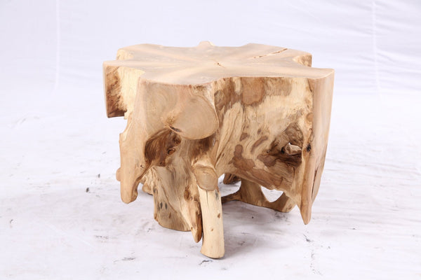 Free Form 23” Organic Teak Root Side Table 7.1 - Dyag East