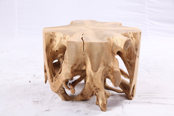 Free Form 23” Organic Teak Root Side Table 7.1 - Dyag East