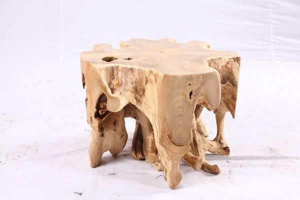 Free Form 23” Organic Teak Root Side Table 7.2 - Dyag East