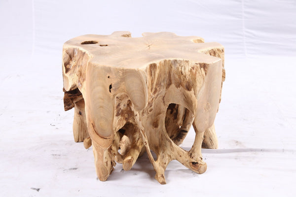 Free Form 23” Organic Teak Root Side Table 7.2 - Dyag East
