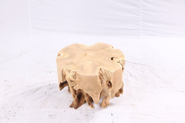 Free Form 23” Organic Teak Root Side Table 7.4 - Dyag East
