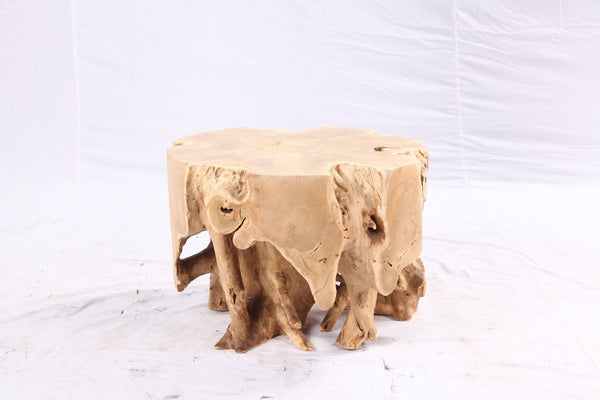 Free Form 23” Organic Teak Root Side Table 7.4 - Dyag East
