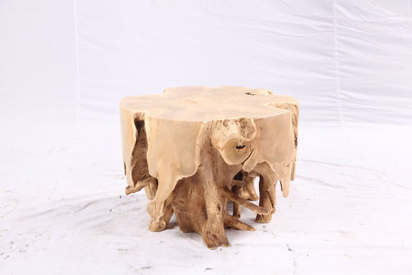 Free Form 23” Organic Teak Root Side Table 7.4 - Dyag East