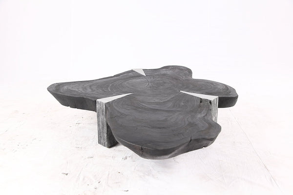 Free Form Living Edge Black Coffee Table - Dyag East