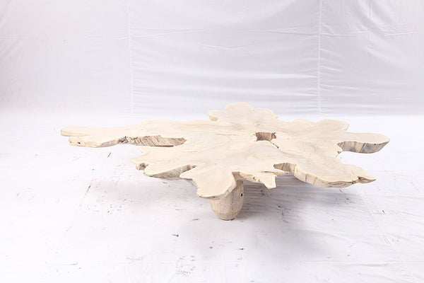 Free Form Living Edge Bleached One Slab Coffee Table 281 - Dyag East
