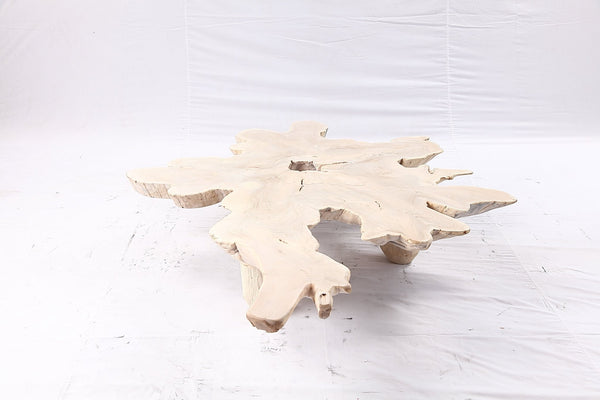 Free Form Living Edge Bleached One Slab Coffee Table 281 - Dyag East