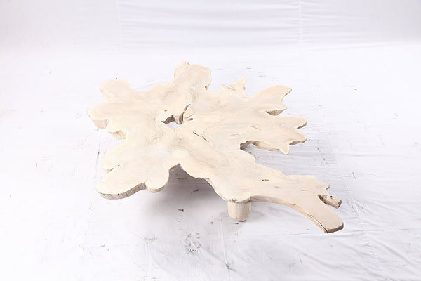 Free Form Living Edge Bleached One Slab Coffee Table 281 - Dyag East