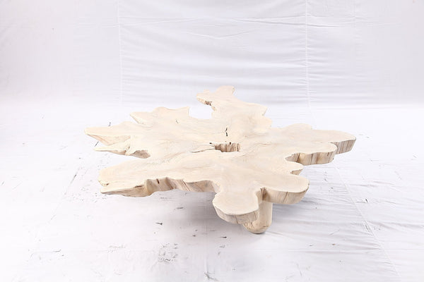 Free Form Living Edge Bleached One Slab Coffee Table 281 - Dyag East