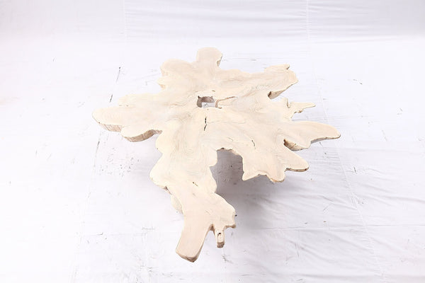 Free Form Living Edge Bleached One Slab Coffee Table 281 - Dyag East