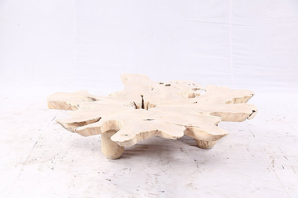 Free Form Living Edge Bleached One Slab Coffee Table 282 - Dyag East