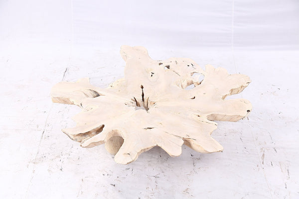 Free Form Living Edge Bleached One Slab Coffee Table 282 - Dyag East