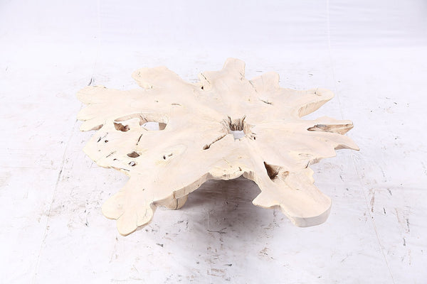 Free Form Living Edge Bleached One Slab Coffee Table 282 - Dyag East