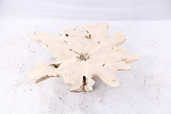 Free Form Living Edge Bleached One Slab Coffee Table 282 - Dyag East