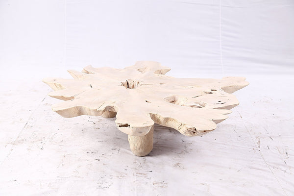 Free Form Living Edge Bleached One Slab Coffee Table 282 - Dyag East
