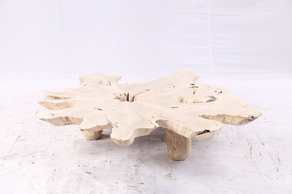 Free Form Living Edge Bleached One Slab Coffee Table 282 - Dyag East