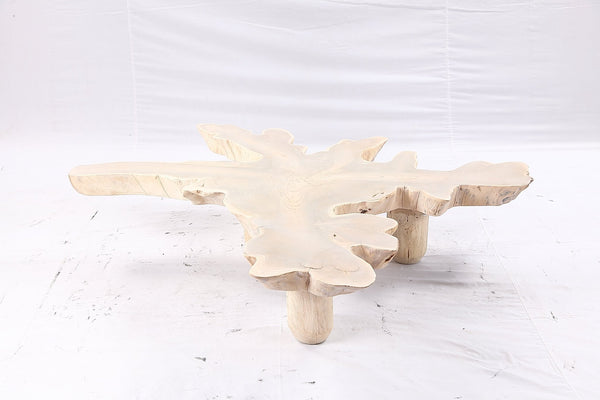 Free Form Living Edge Bleached One Slab Coffee Table 283 - Dyag East