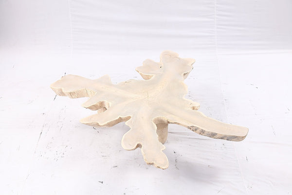 Free Form Living Edge Bleached One Slab Coffee Table 283 - Dyag East