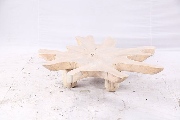 Free Form Living Edge Bleached One Slab Coffee Table 284 - Dyag East