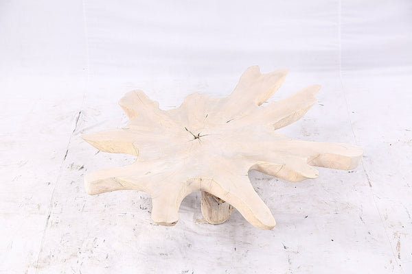 Free Form Living Edge Bleached One Slab Coffee Table 284 - Dyag East
