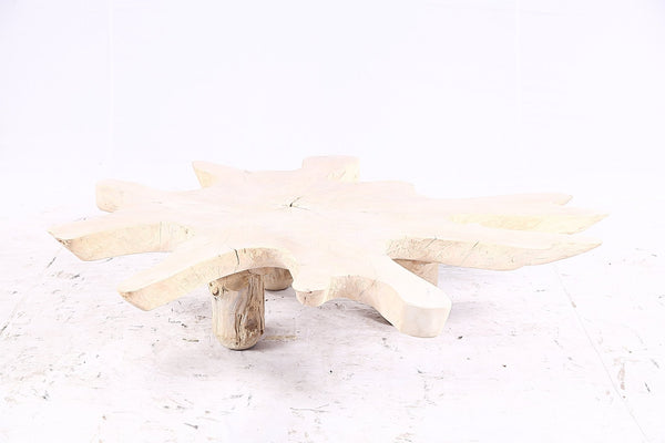 Free Form Living Edge Bleached One Slab Coffee Table 284 - Dyag East