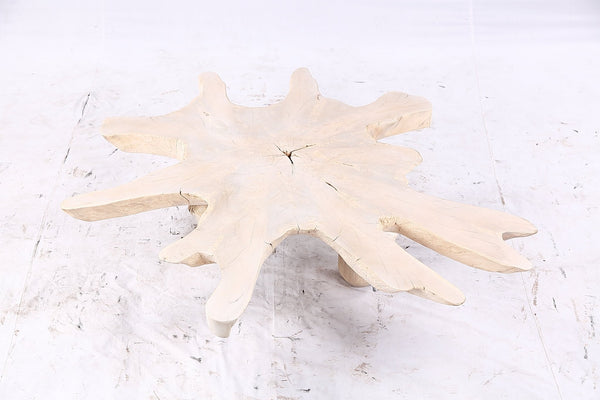 Free Form Living Edge Bleached One Slab Coffee Table 284 - Dyag East