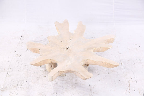 Free Form Living Edge Bleached One Slab Coffee Table 284 - Dyag East