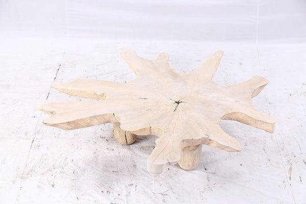 Free Form Living Edge Bleached One Slab Coffee Table 284 - Dyag East
