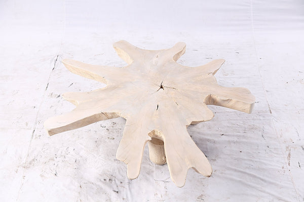 Free Form Living Edge Bleached One Slab Coffee Table 284 - Dyag East