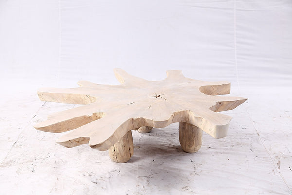Free Form Living Edge Bleached One Slab Coffee Table 284 - Dyag East