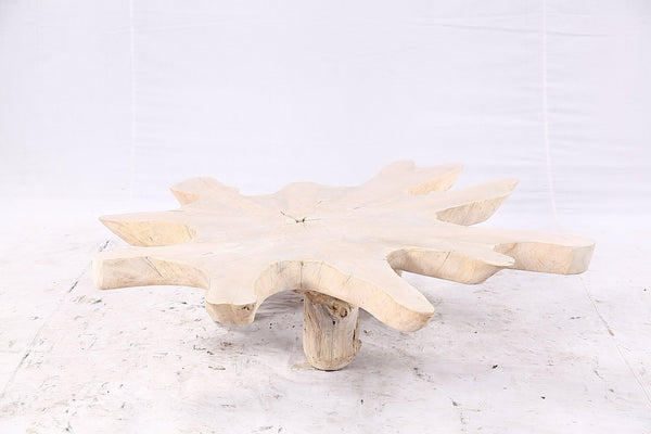 Free Form Living Edge Bleached One Slab Coffee Table 284 - Dyag East