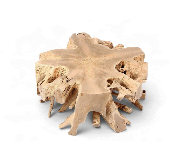 Free Form Teak Root Coffee Table 2 - Dyag East