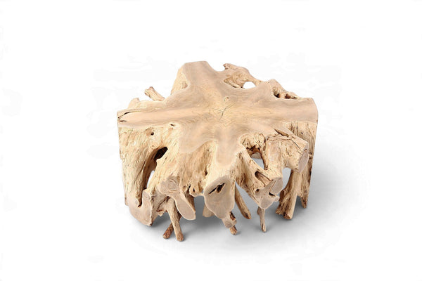 Free Form Teak Root Coffee Table 2 - Dyag East