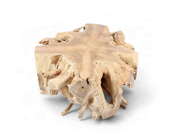 Free Form Teak Root Coffee Table 2 - Dyag East